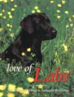 Love of Labs : The Ultimate Tribute to Labrador Retrievers - Book