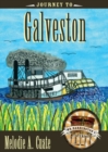 Journey to Galveston : Mr Barrington's Mysterious Trunk - Book