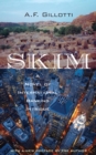 Skim : A Novel of International Banking Intrigue - Book