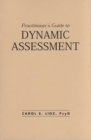 Practitioner's Guide to Dynamic Assessment - Book