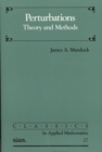 Perturbations: Theory and Methods - Book