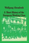 A Short History of the European Working Class - Book