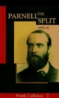 The Parnell Split, 1890-91 - Book