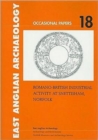 Romano-British Industrial Activity at Snettisham, Norfolk - Book