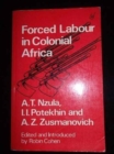 Forced Labour in Colonial Africa - Book