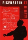 Eisenstein at Ninety - Book