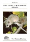 The Edible Dormouse (Glis glis) - Book