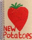 New Potatoes : New Irish Paintwork - Book