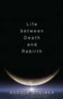 Life Between Death and Rebirth : The Active Connection Between the Living and the Dead - Book
