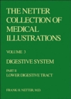 The Netter Collection of Medical Illustrations : Digestive System Lower Digestive Tract pt. 2 - Book