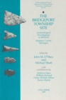 The Bridgeport Township Site : Archaeological Investigation at 20SA620, Saginaw County, Michigan - Book