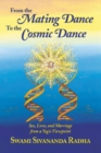 From the Mating Dance to the Cosmic Dance : Sex, Love and Marriage from a Yogic Viewpoint - Book
