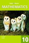 Study and Master Mathematics Grade 10 - Book