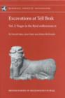 Excavations at Tell Brak Volume 2 : Nagar in the 3rd Millennium BC - Book
