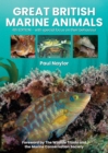 Great British Marine Animals - Book