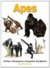 Apes: Gorillas, Chimpanzees, Orangutans and Gibbons - Book