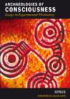 Archaeologies of Consciousness : Essays in Experimental Prehistory - Book