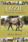 Ozzie : The Story of a Young Horse - Book