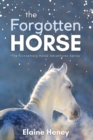 The Forgotten Horse : Book 1 in the Connemara Horse Adventure Series for Kids. The perfect gift for children age 8-12. - Book