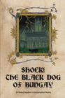Shock! The Black Dog of Bungay : A Case Study in Local Folklore - Book