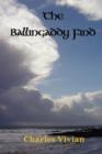The Ballingaddy Find - Book