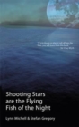 Shooting Stars are the Flying Fish of the Night - Book