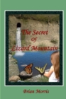 The Secret Of Lizard Mountain - Book