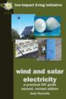 Wind and Solar Electricity : A DIY Guide - Book
