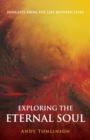 Exploring the Eternal Soul : Insights from the Life Between Lives - Book