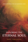 Exploring the Eternal Soul - Insights from the Life Between Lives - eBook