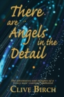 There are Angels in the Detail : The adventures and insights of a 'crazy man' continue unabated - Book