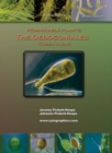 Remarkable Plants : The Oedogoniales - Book