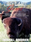Two Lane Gems, Vol. 2 : Bison Are Giant and Other Observations from an American Road Trip - Book