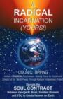 Radical Incarnation (Yours!) : The President of the United States Becomes Enlightened, Heals America & Awakens Humanity -- A Spiritual Fantasy - Book