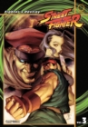 Street Fighter Volume 3: Fighter's Destiny - Book