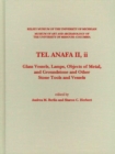 Tel Anafa II, ii : Glass Vessels, Lamps, Objects of Metal, and Groundstone and Other Stone Tools and Vessels - Book