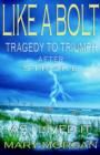 Like A Bolt : Tragedy to Triumph After Stroke - Book