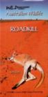 Australian Wildlife - Roadkill - Book
