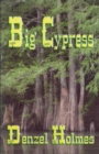 Big Cypress - eBook