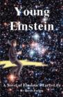 Young Einstein : A Novel of Einstein's Early Life - Book