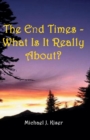 The End Times - What Is It Really About? - Book