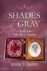 Shades of Gray : A Novel of the Civil War in Virginia - Book