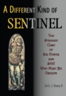 Different Kind of Sentinel - eBook