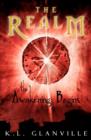 The Realm : The Awakening Begins - Book