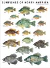 Sunfishes of North America - Book