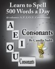 Learn to Spell 500 Words a Day : The Consonants (vol. 6) - Book