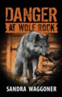 Danger at Wolf Rock - Book