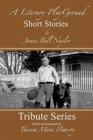 A Literary Playground - Short Stories - Book
