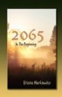 2065 in the Beginning - Book