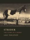 Strider : The Story of a Horse - Book